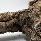 Natural virgin cork branches for terrarium and vivarium by CorkMart