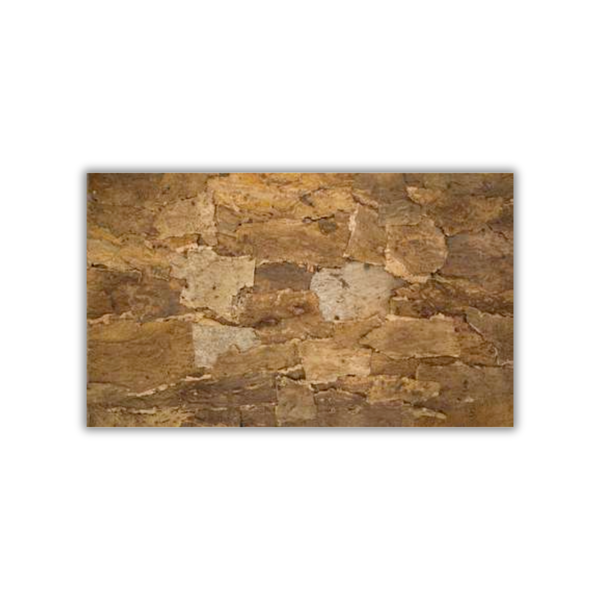 Skin Tree natural cork bark wall panel 25mm thick by CorkMart