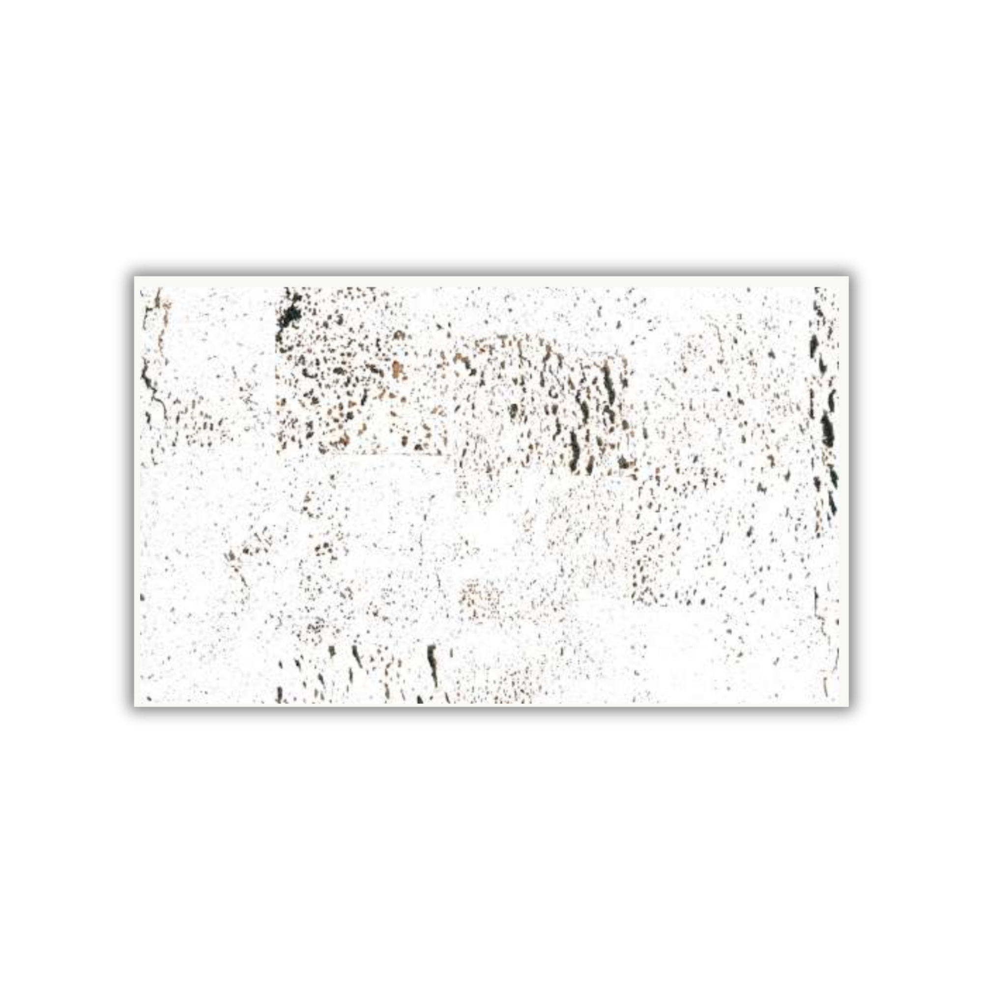 Europe Marble I stone look cork wall tile 3mm by CorkMart