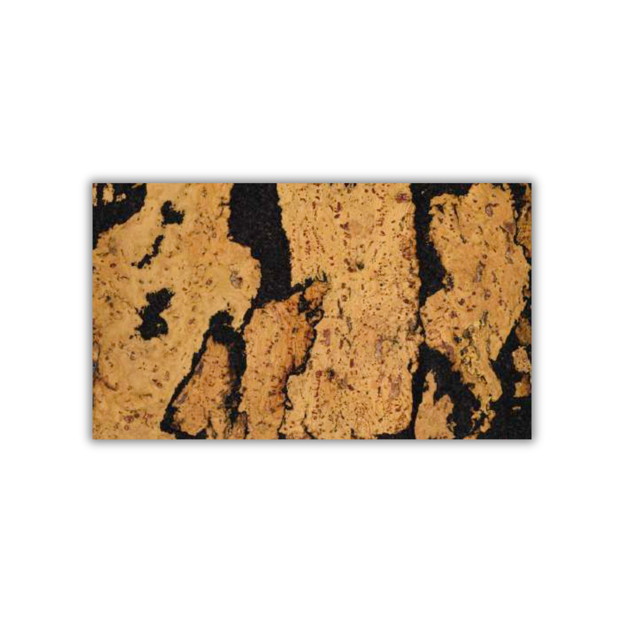 Rustic Black bold texture cork wall tile 3mm by CorkMart