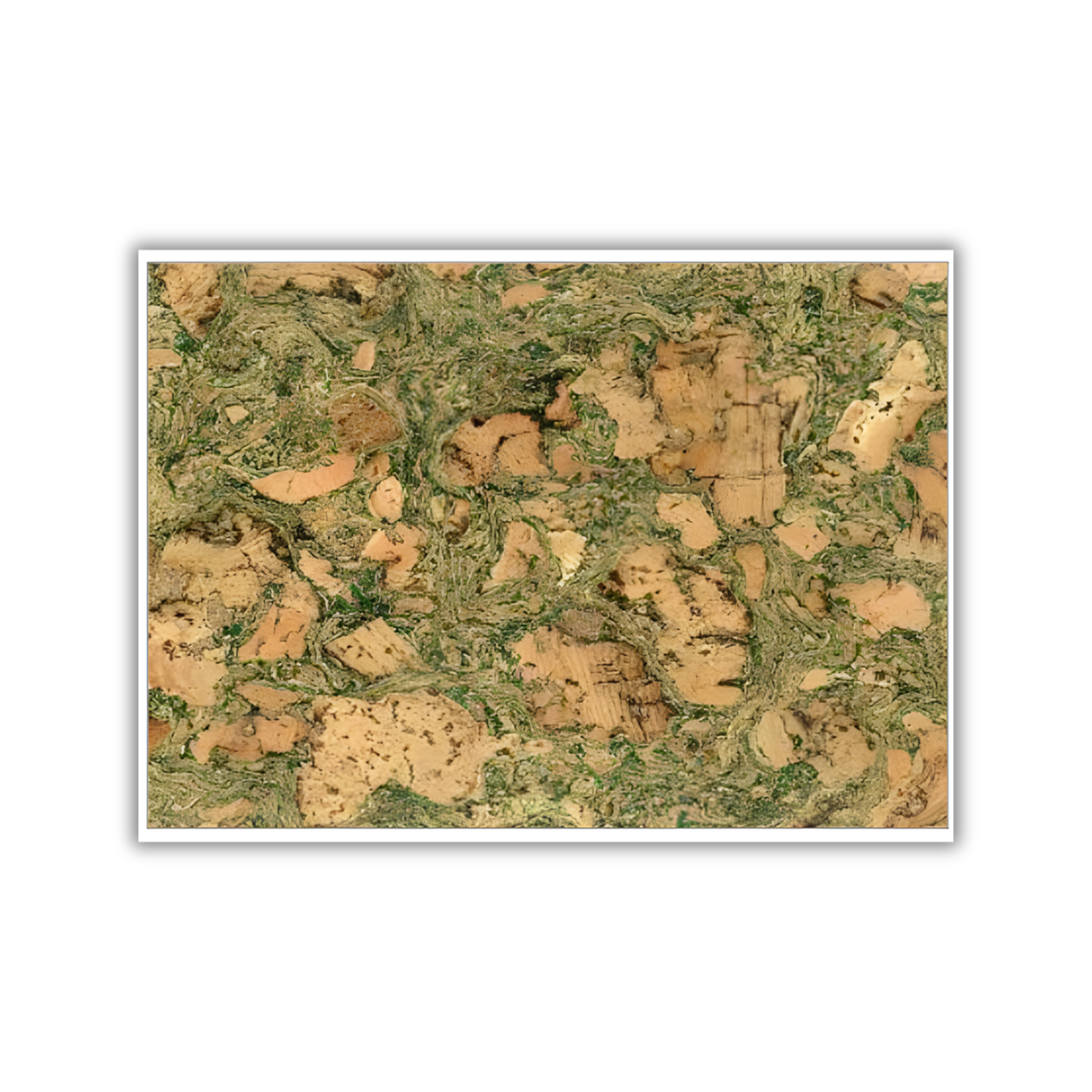 Saphira Green fresh pattern cork wall tile 3mm by CorkMart