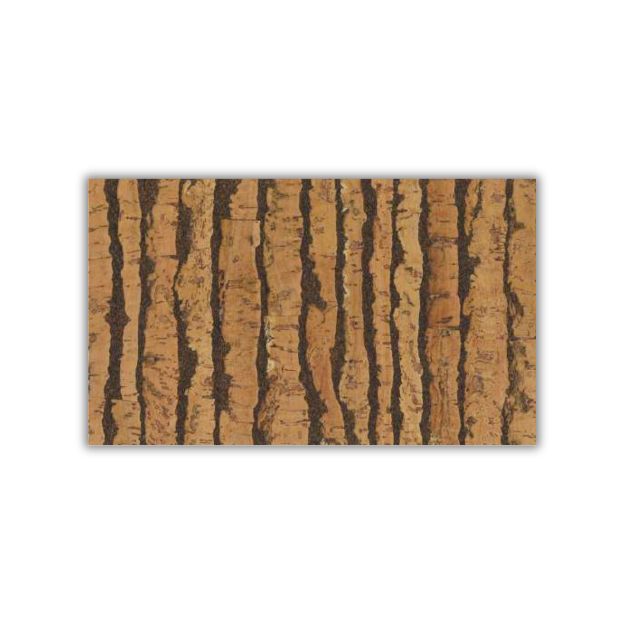 Tiger Natural striped cork wall tile 3mm wax finish by CorkMart