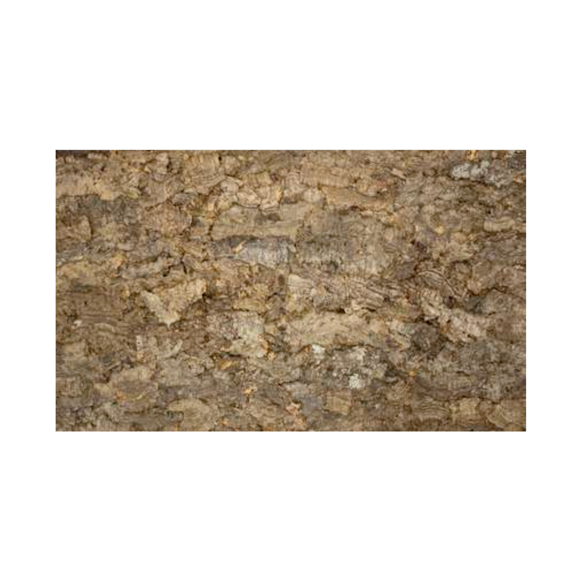 Virgin Tree natural cork bark wall panel 25mm unfinished by CorkMart