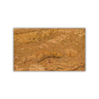 Wave Natural Cork Wall Tile - 600 x 300 mm / 1 Tile (0.18 m²) - Portuguese cork product