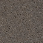 Acoustic Grey cork acoustic wall tile close-up showing the real grey cork texture and waxed surface