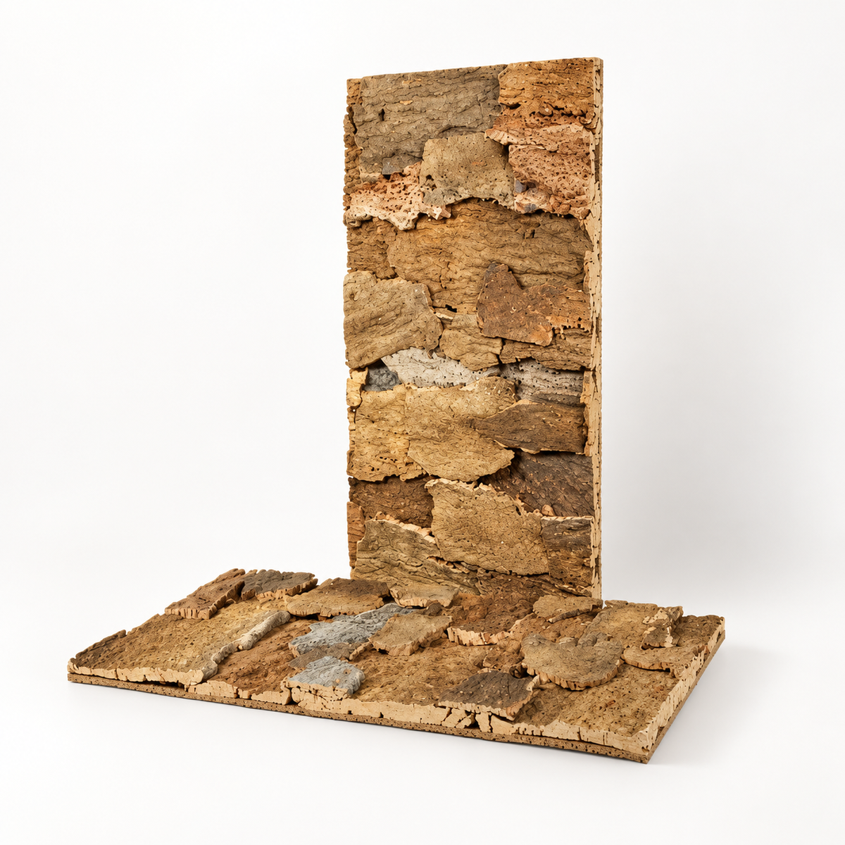 Belly Cork Bark Wall Panel, natural cork bark surface, approx. 20 mm thick, isolated on white background