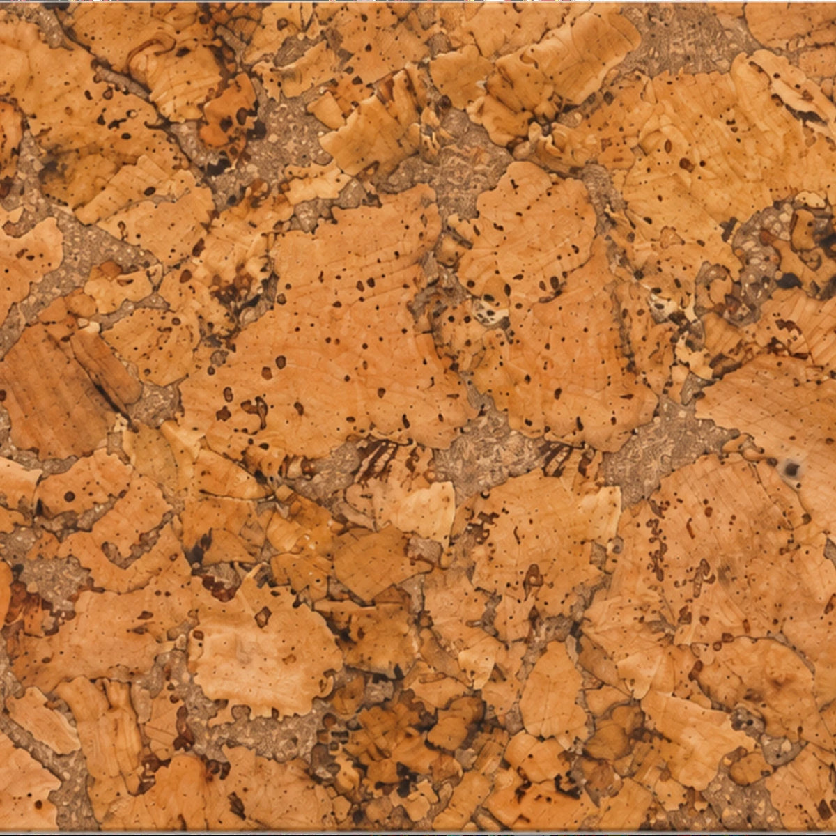 Cloud Natural cork wall tile close-up showing the real natural cork texture and cloud-pattern tonal variation