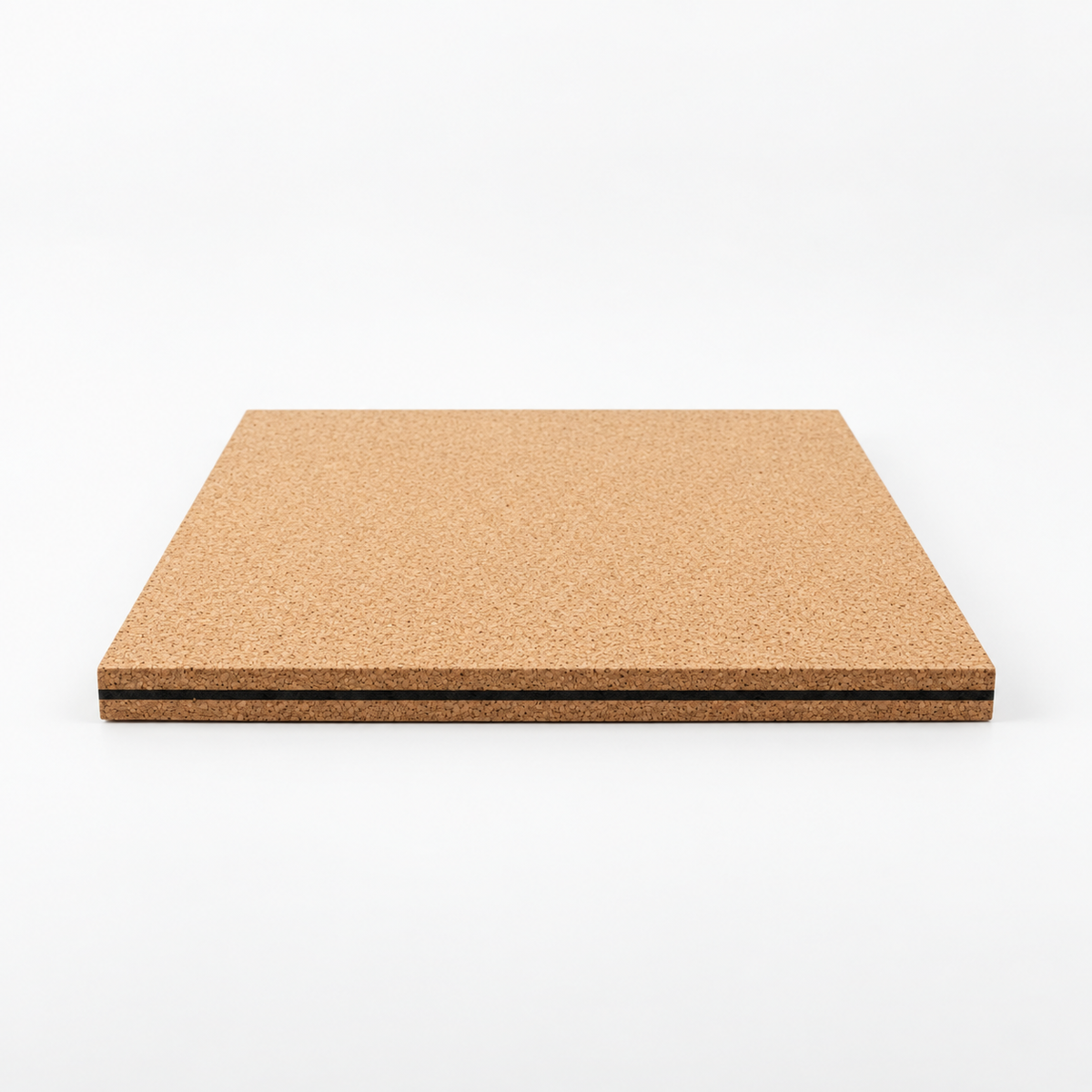 Cork Acoustic Panels BitCork Home, premium studio hero view