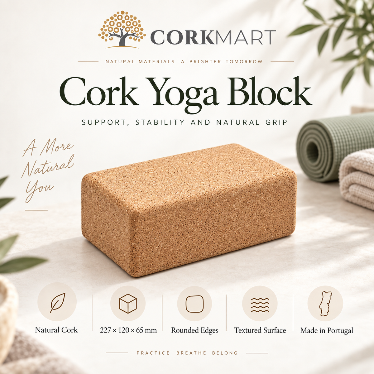 CorkMart infographic for standard natural cork yoga block dimensions: 227 × 120 × 65 mm per block