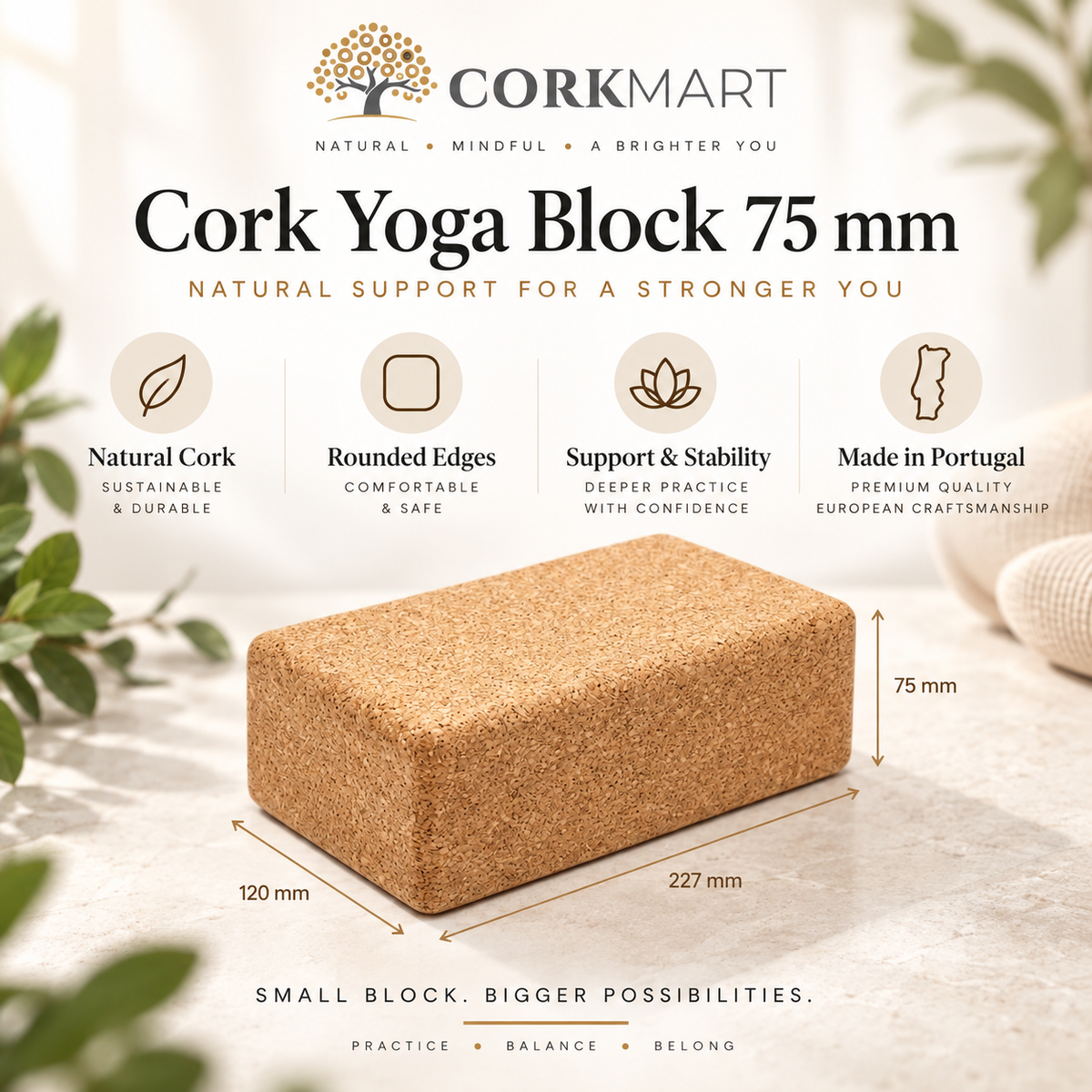 CorkMart infographic for deeper natural cork yoga block dimensions: 227 × 120 × 75 mm per block