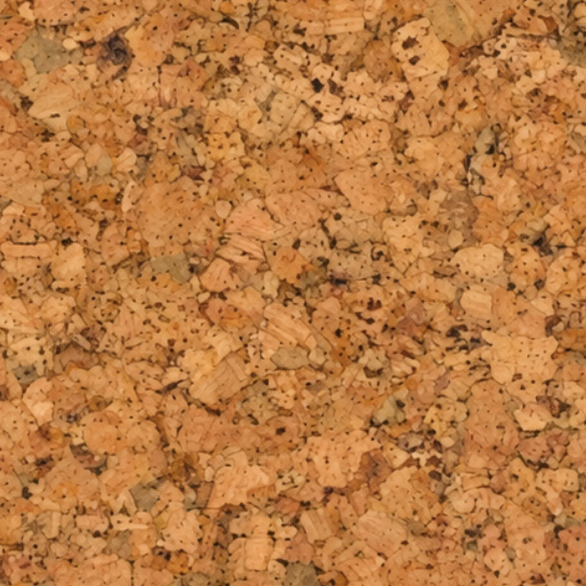 Country cork wall tile close-up showing the real cork texture and warm rustic variation