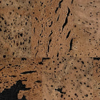 Europe Black cork wall tile close-up showing the real dark cork texture and natural surface variation