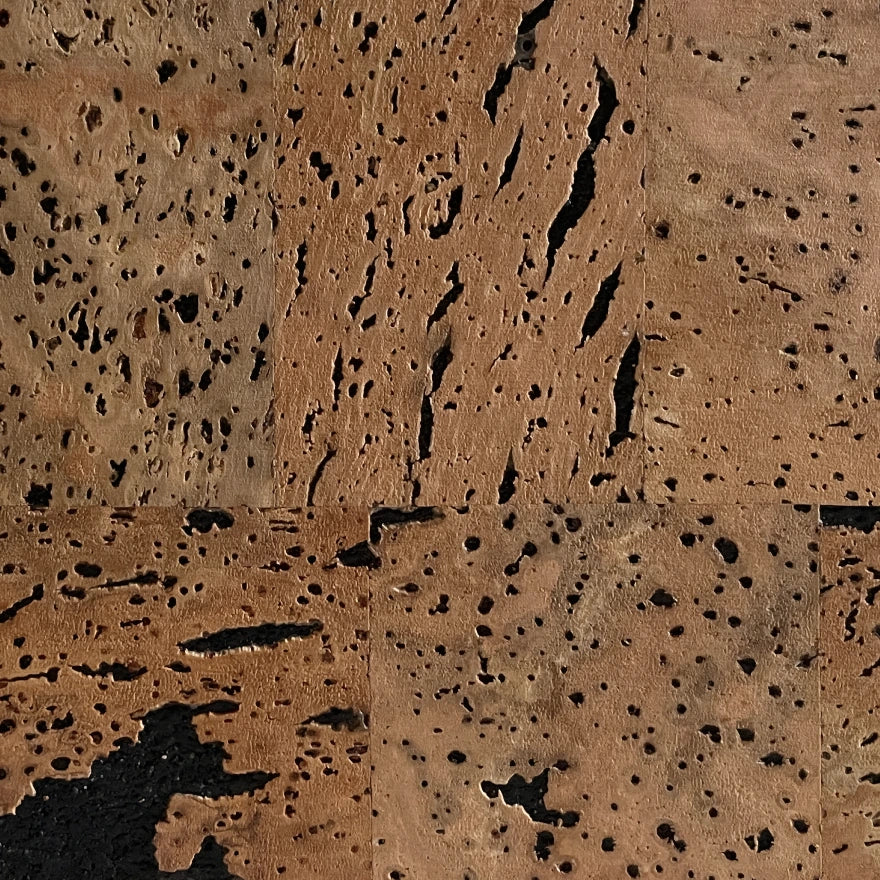 Europe Black cork wall tile close-up showing the real dark cork texture and natural surface variation