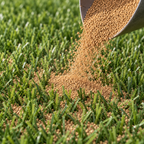 Natural cork infill being applied to synthetic grass