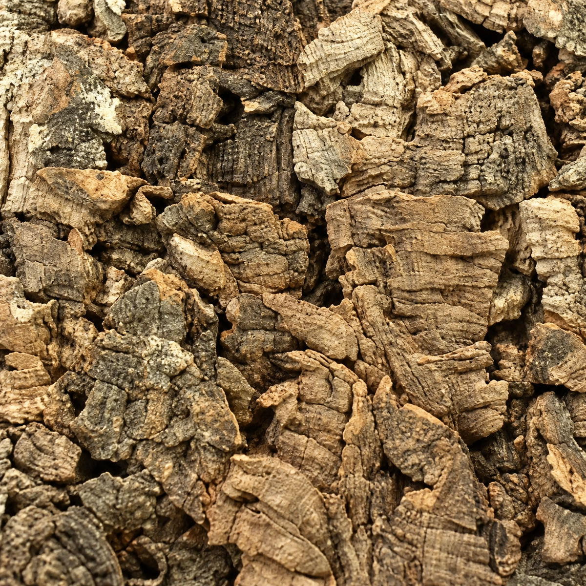 Natural Decorative Cork Bark Wall Tiles - Virgin, macro bark texture detail