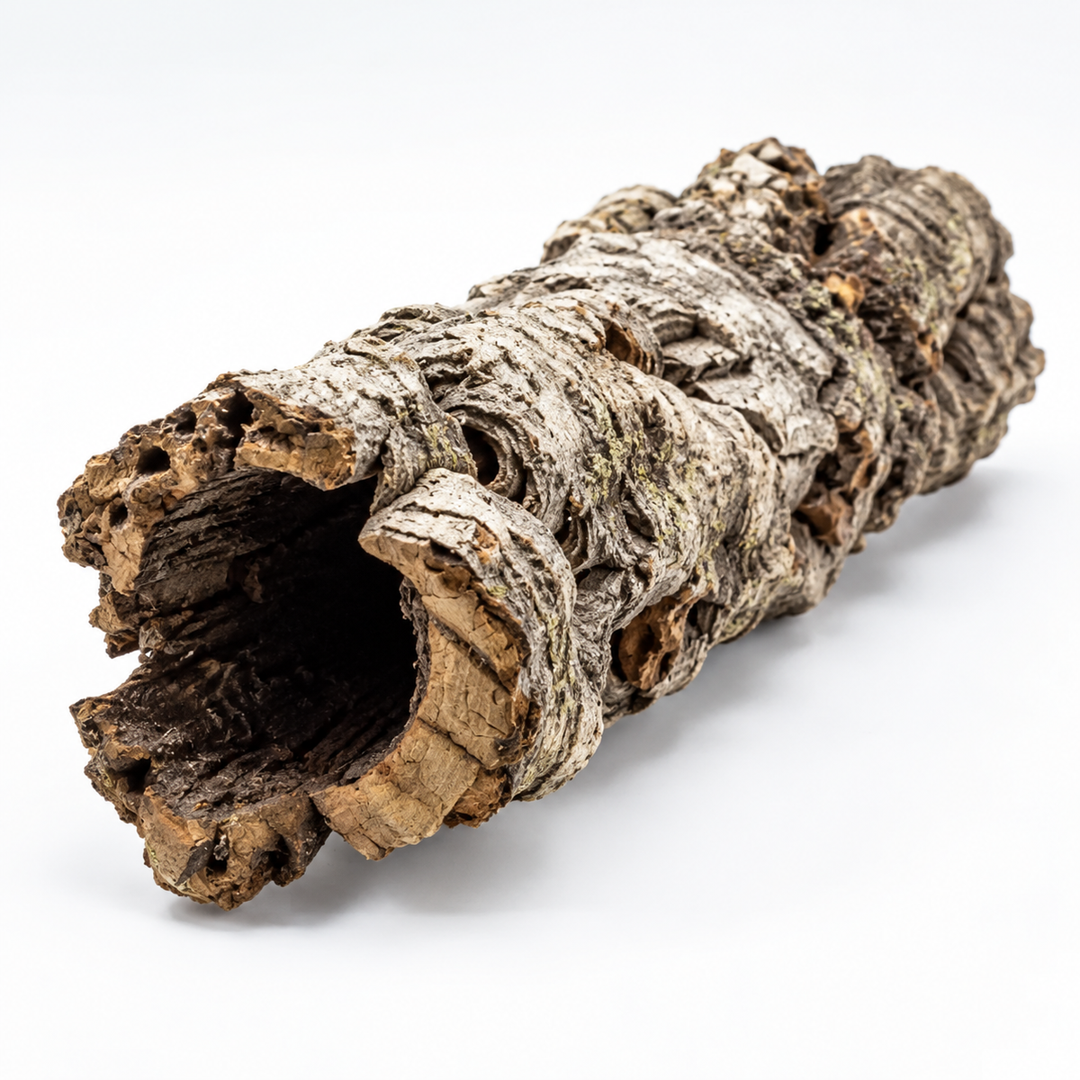 Natural Virgin Cork Tubes, complementary studio angle