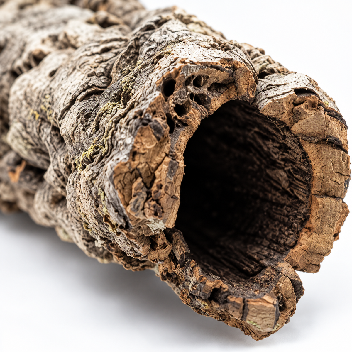 Natural Virgin Cork Tubes, macro bark texture and hollow profile detail