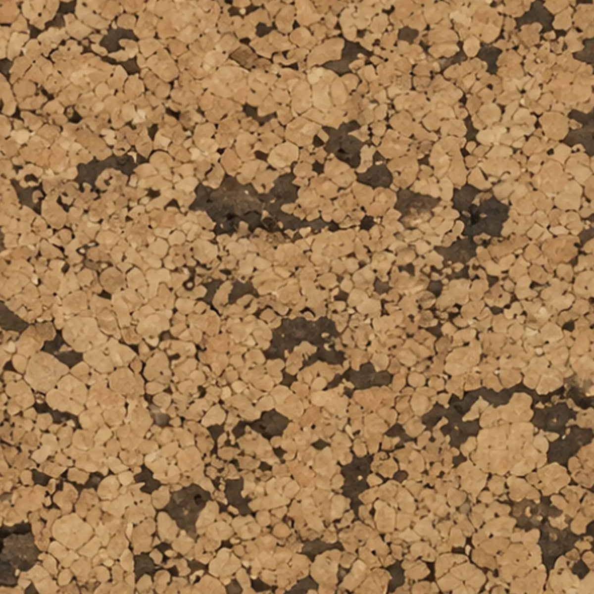 Pebble cork wall tile close-up showing the real cork texture and rounded natural pattern
