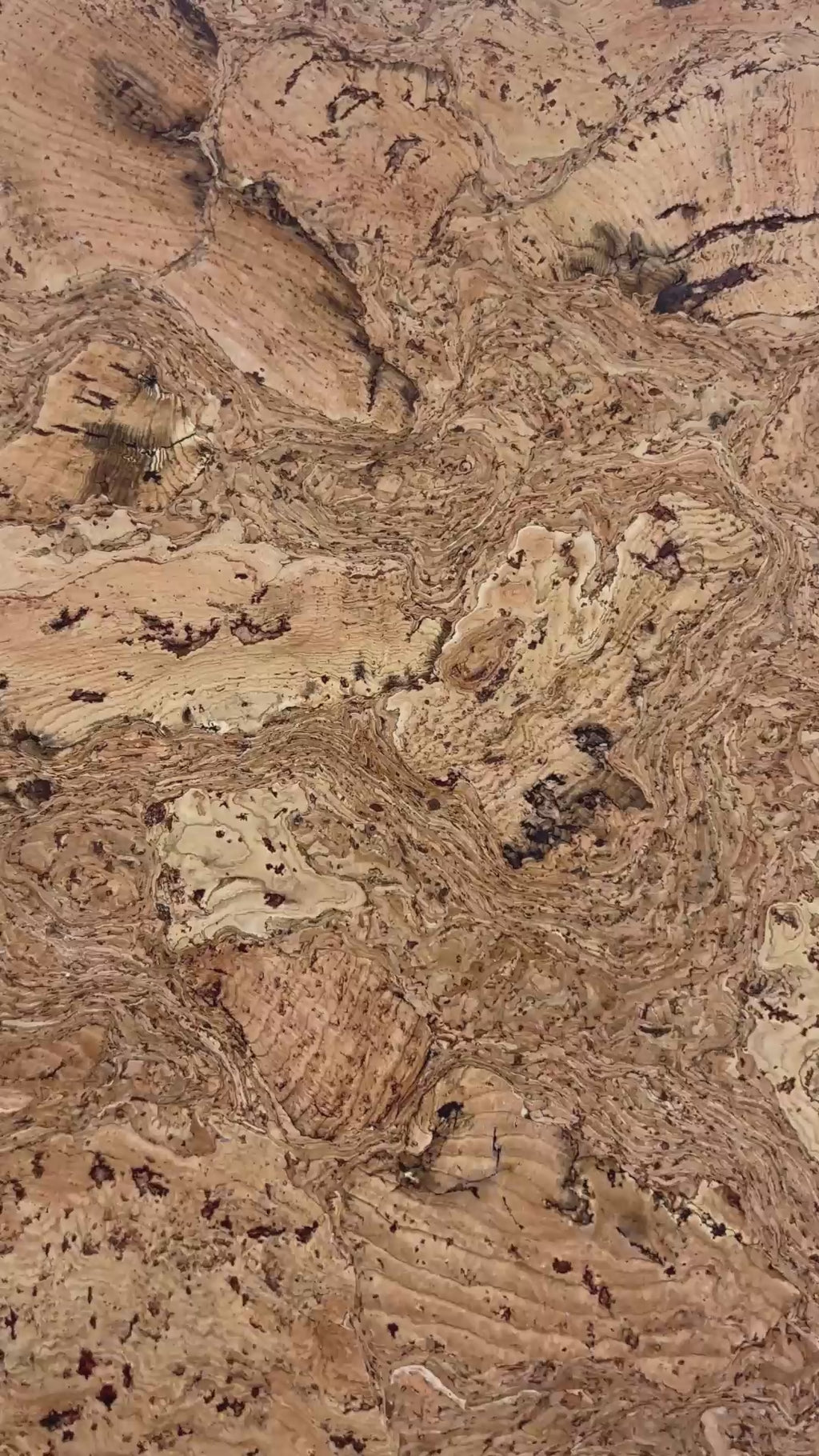 Saphira Natural – Korkwandfliese