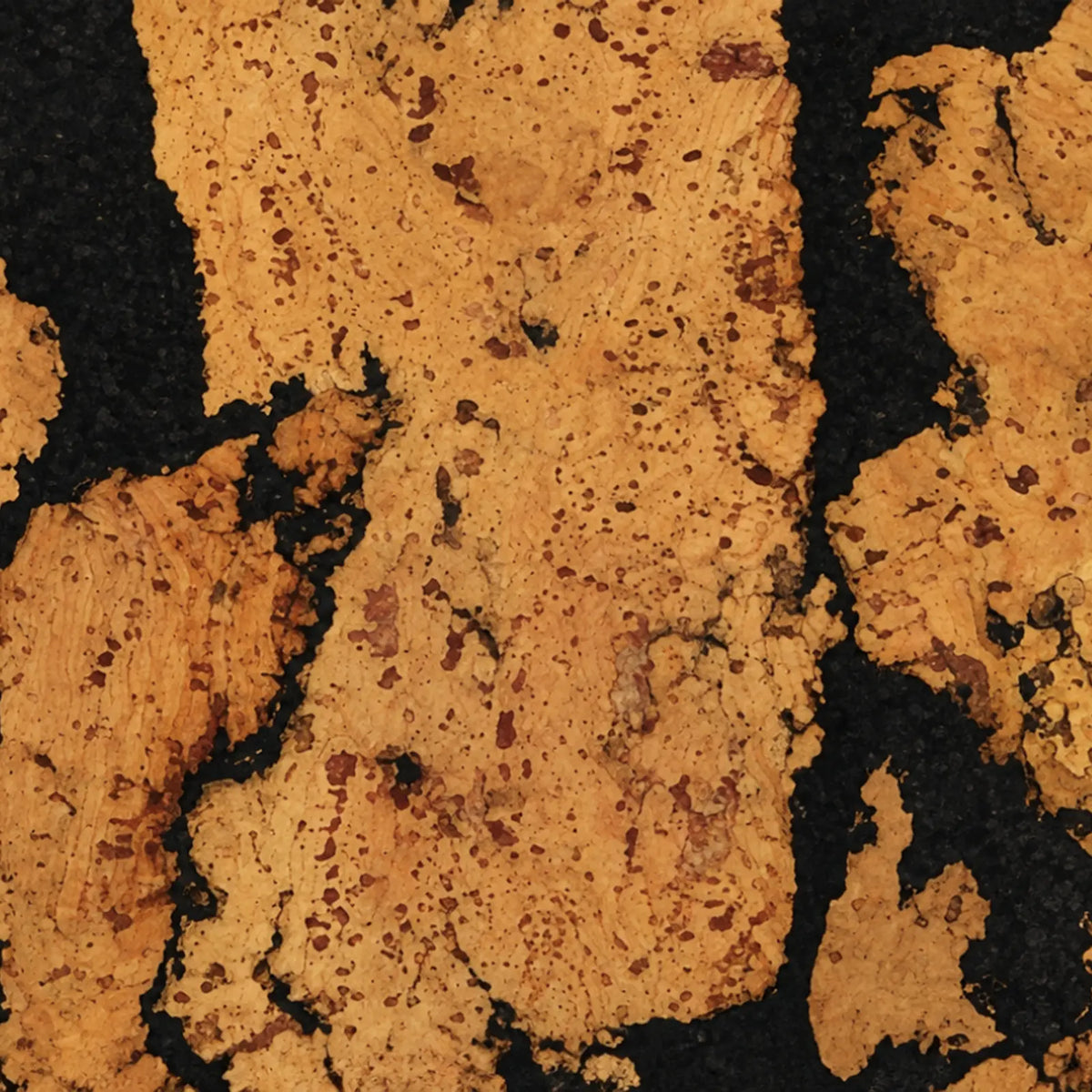 Rustic Black cork wall tile close-up showing the real dark cork texture and natural tan variation