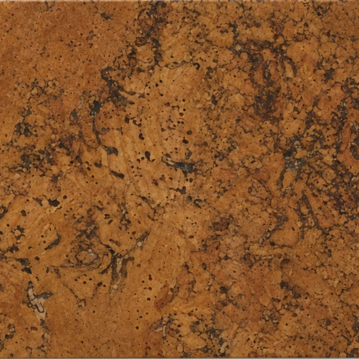 Rustic Brown cork wall tile close-up showing the real cork texture and warm brown natural variation