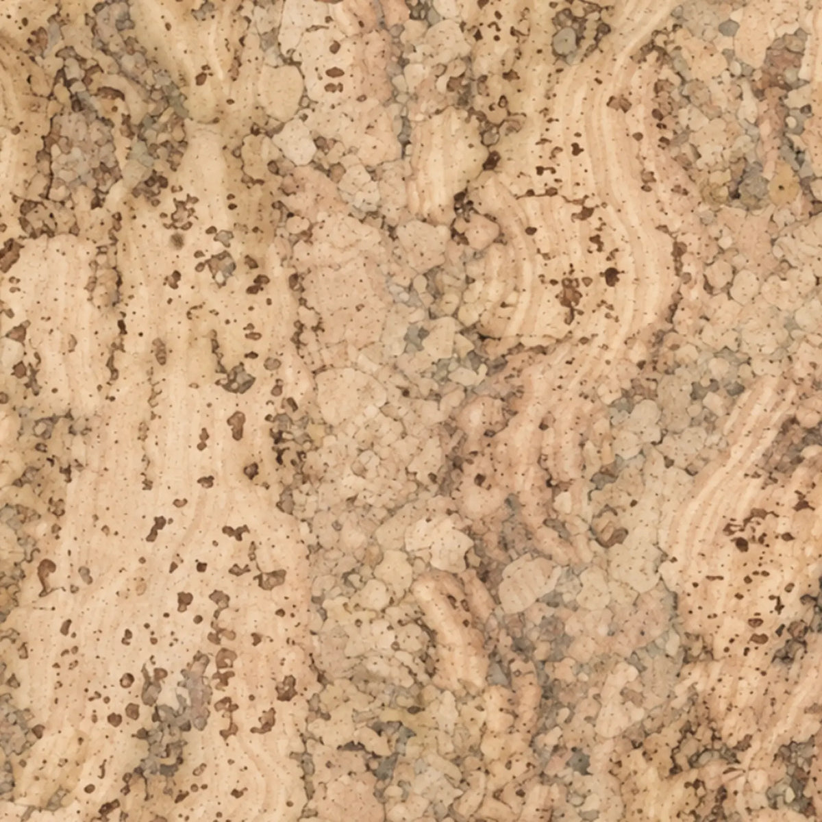 Rustic Cream cork wall tile close-up showing the real cork texture and warm cream natural variation