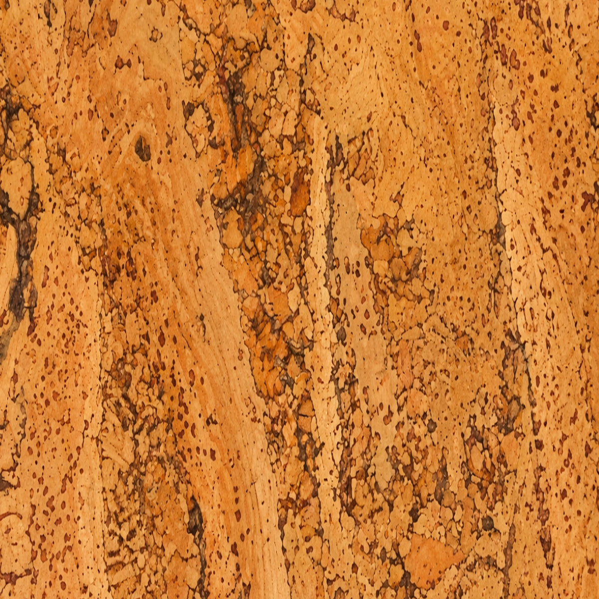Rustic Natural cork wall tile close-up showing the real cork texture and warm natural variation