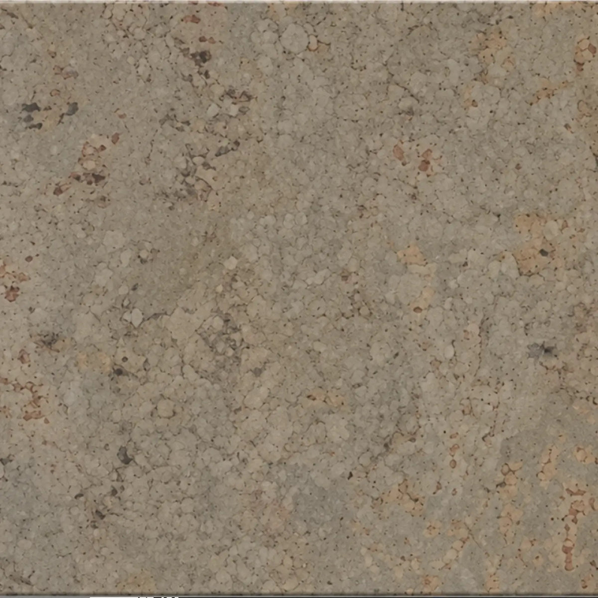 Rustic Taupe cork wall tile close-up showing the real cork texture and taupe natural variation