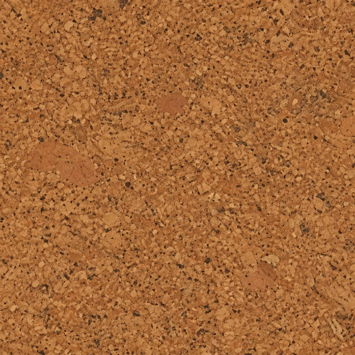 Salami cork wall tile close-up showing the real cork texture and distinctive natural variation