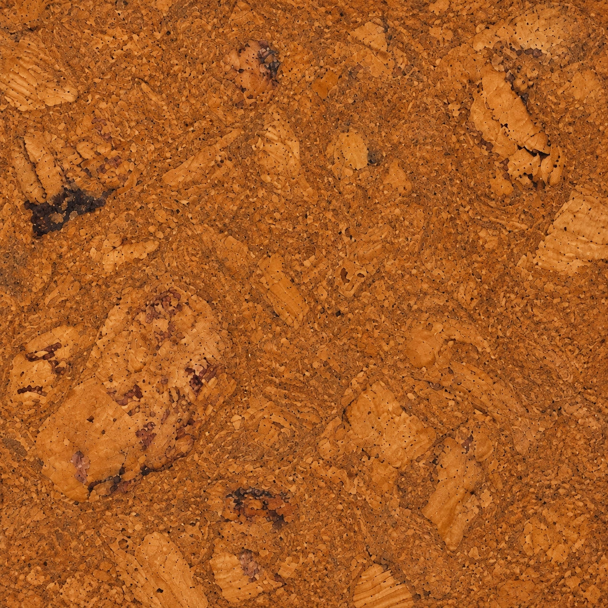 Saphira Brown cork wall tile close-up showing the real cork texture and warm brown tonal variation