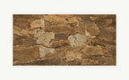 Skin Tree natural cork bark wall panel, 600 × 300 mm, with layered organic bark relief