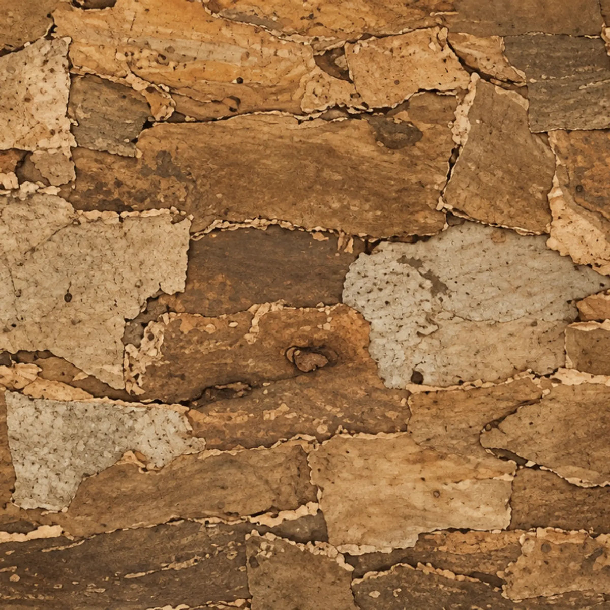 Skin Tree natural cork bark wall panel close-up showing layered bark fissures, cavities and irregular relief