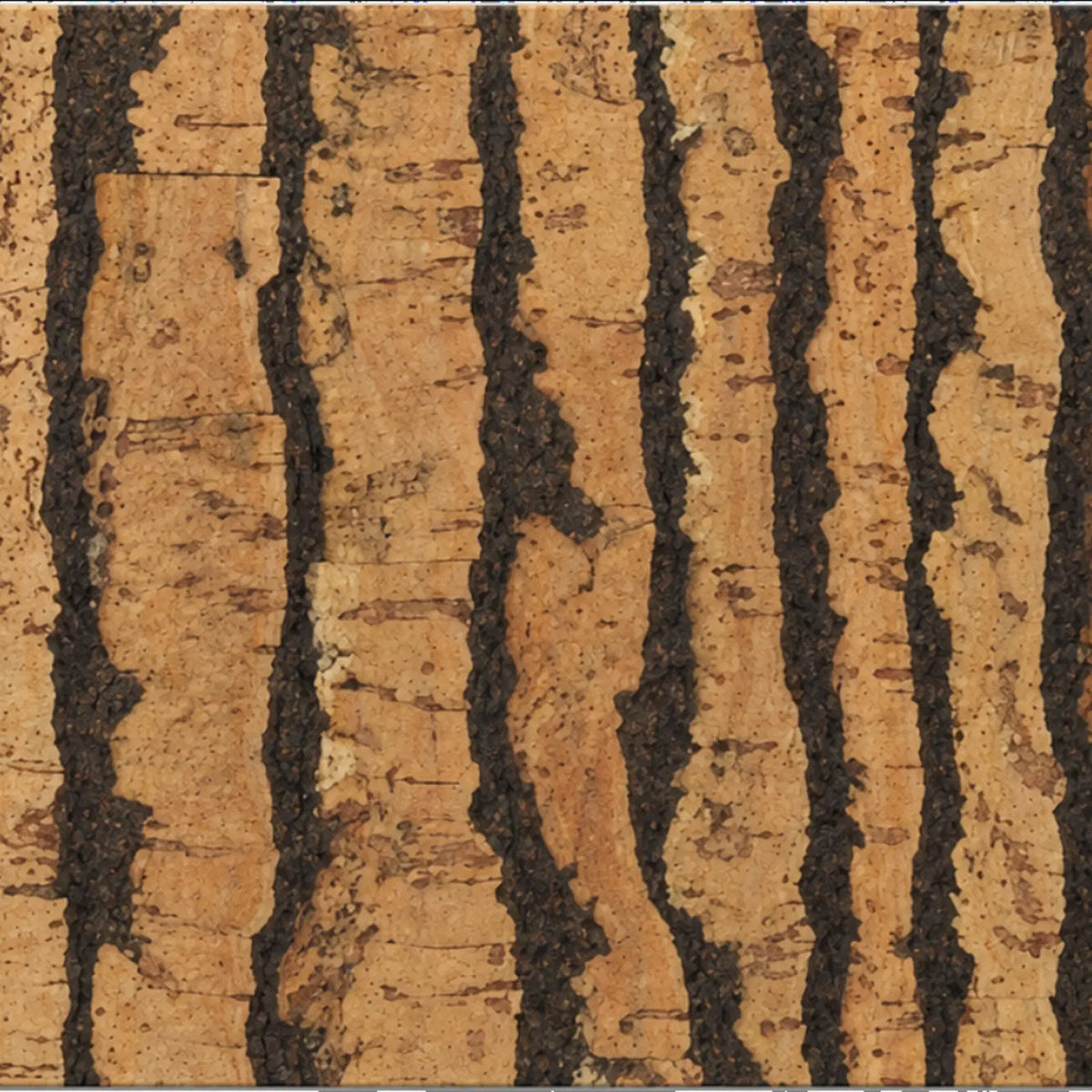Tiger Natural cork wall tile close-up showing the real cork texture and organic dark striping