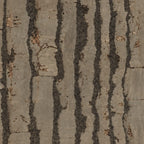Tiger Taupe cork wall tile close-up showing the real cork texture and taupe striped variation
