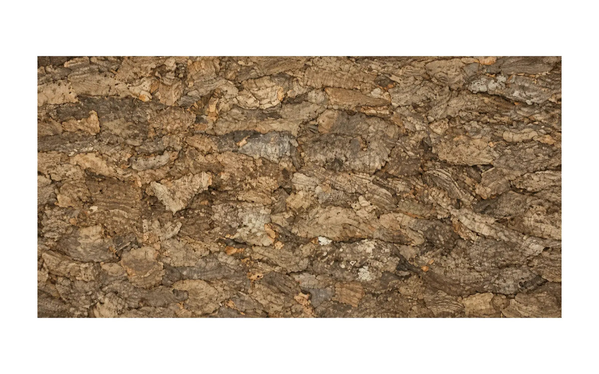 Virgin Tree natural cork bark wall panel, 600 × 300 mm, with pronounced rustic relief and natural fissures